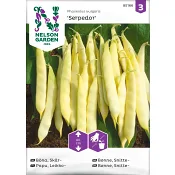 Böna Skär Serpedo Låg 1-p Nelson Garden.