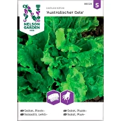 Sallat Plock Australischer 1-p Nelson Garden.