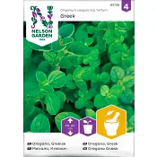 Oregano Grekisk 1-p Nelson Garden.