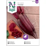 Rödbeta Forono Avlång 1-p Nelson Garden.