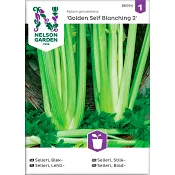 Selleri Blek Golden Self Blanchi 1-p Nelson Garden.