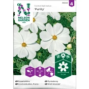 Rosenskära Purity Vit 1-p Nelson Garden.