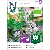 Honungsfacelia Blå Organic 1-p Nelson Garden.