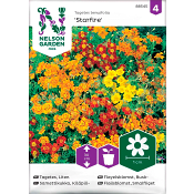 Tagetes Liten Starfire Mixed 1-p Nelson Garden.