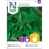 Basilika Citron Lemon Scent 1-p Nelson Garden.