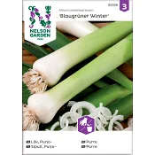 Lök Purjo Stuttgarter Riesen 1-p Nelson Garden.