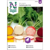 Rödbeta Hullahoop Mix 1-p Nelson Garden.
