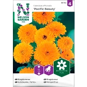 Ringblomma Pacifi 1-p Nelson Garden.