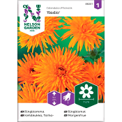 Ringblomma Radio 1-p Nelson Garden.