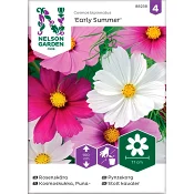 Rosenskära Early Summer Blandade färger 1-p Nelson Garden.