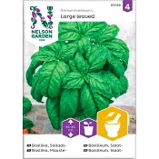 Basilika Sallads Storbladig 1-p Nelson Garden.