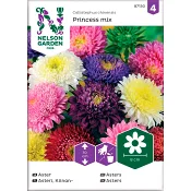 Aster Princess Blandade färger 1-p Nelson Garden.
