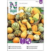 Prydnadspumpa Blandade sorter 1-p Nelson Garden.