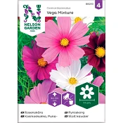 Rosenskära Vega Mixture 1-p Nelson Garden.