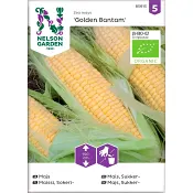 Majs Golden Bantam Organic 1-p Nelson Garden.