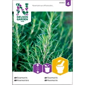 Rosmarin 1-p Nelson Garden.