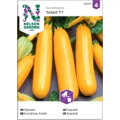 Squash Gold Rush F1 1-p Nelson Garden.