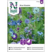 Sommarblommor Mix 1-p Nelson Garden.