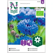 Blåklint Tall double 1-p Nelson Garden.