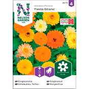 Ringblomma Fiesta Gitana 1-p Nelson Garden.