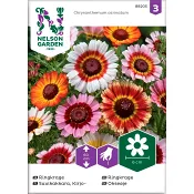 Ringkrage Enkel Blandade färger 1-p Nelson Garden.
