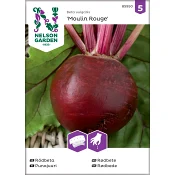 Rödbeta Moulin Roug 1-p Nelson Garden.