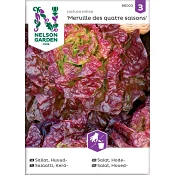 Sallat Huvud Merville 1-p Nelson Garden.