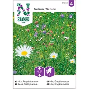 Ängsblommor Mix 1-p Nelson Garden.