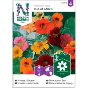 Krasse Slinger Out of Africa 1-p Nelson Garden.