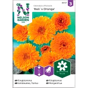 Ringblomma Ball´s Orange 1-p Nelson Garden.
