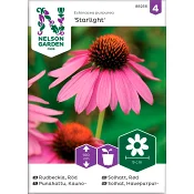 Rudbeckia Röd Starlight 1-p Nelson Garden.