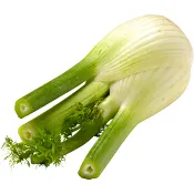 Fänkål 1-pack Klass 1 ICA.