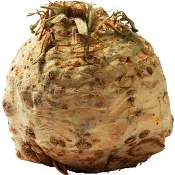 Rotselleri 1-pack Klass 1 ICA.