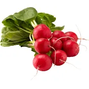 Rädisa knippe 1 pack Klass 1 ICA.