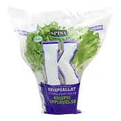 Krispsallad i kruka.