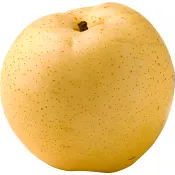 Japanpäron 1 pack Klass 1 ICA.