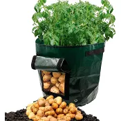 Odlingsbag Potatis Zeline.