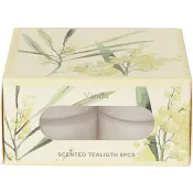 Doftvärmeljus Vanilj 8-p ICA.