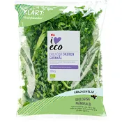 Grönkål Ekologisk 150g ICA.