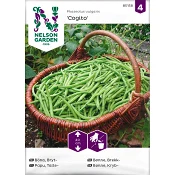 Böna Bryt Cogito Nelson Garden.