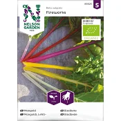 Mangold Fireworks Organic Nelson Garden.