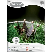 Dekorationsgräs Nelson Garden.