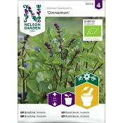 Basilika, Kanel- Cinnamon, Organic Nelson Garden.