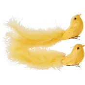 Fågel med fjäder, gul 2-p.