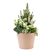 Arrangemang Jul trend.