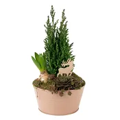 Arrangemang Jul Trend M.