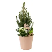 Arrangemang Jul Trend L.