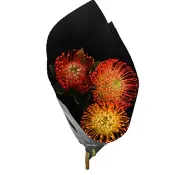 Nåldyna 3p 40 cm orange.