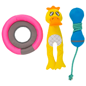 Floaty Hundleksak Best friend.