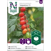 Tomat, Hög, Vespolino F1 Nelson Garden.